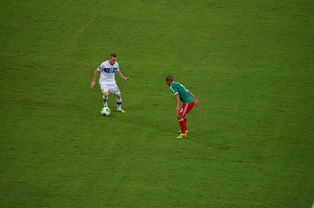 今夜德甲焦点战！费内巴切迎战利物浦，鏖战或上演