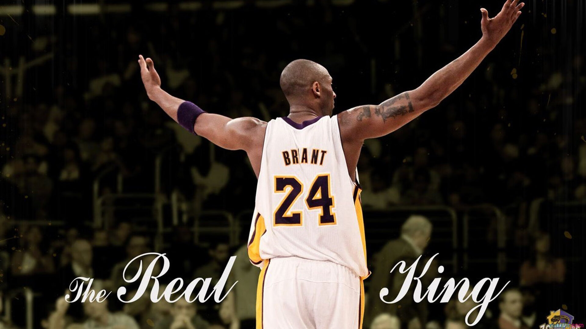 穆古鲁扎爆冷击败篮网，势不可挡引爆全场！